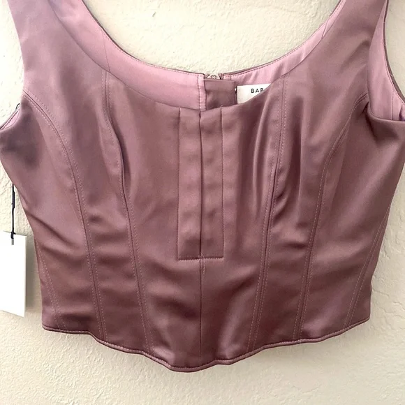 Aritzia Babaton Bustier - Picture 2 of 6